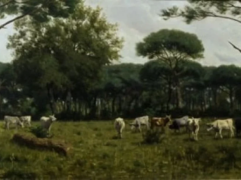 1835-Giuseppe Benassai - Una pineta a San Rossore, 1885 - Galleria nazionale d'arte moderna e contemporanea Roma